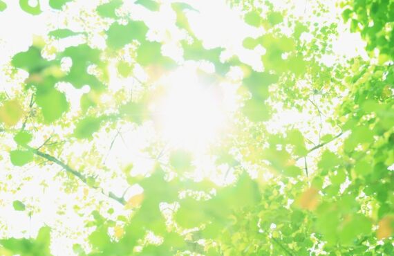 【島根県出雲市】未経験の方を応援！自然豊かな町を満喫し、新しい生活始めませんか。
